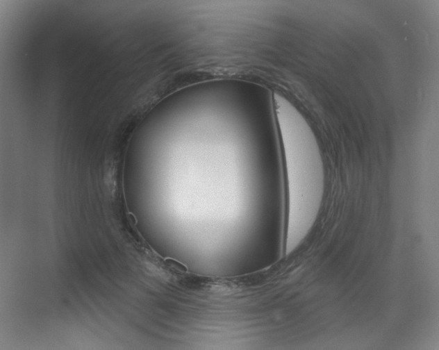 X0000075350697200609080813
