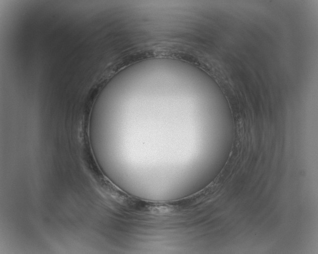 X0000075350698200609080813