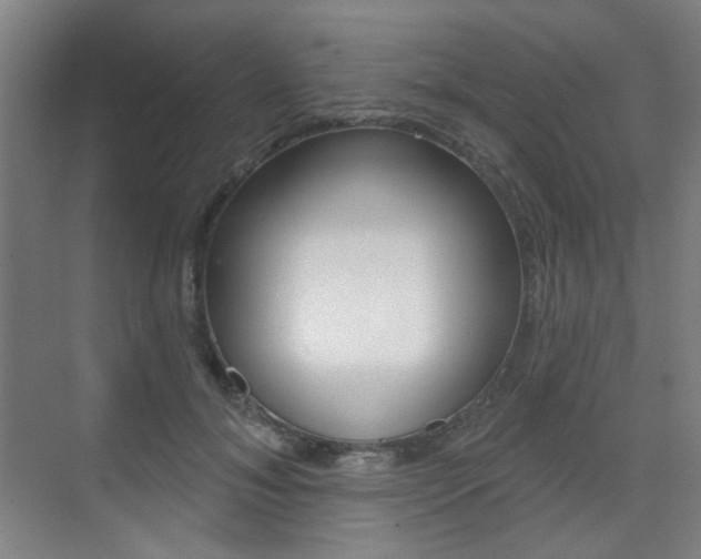 X0000075350700200609080813