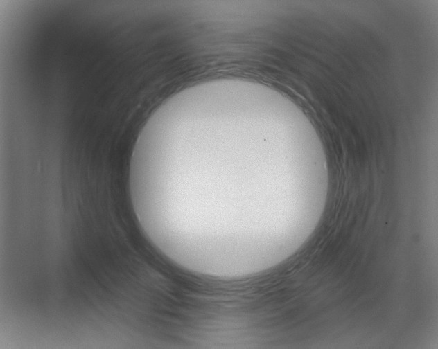 X0000075350701200609080813