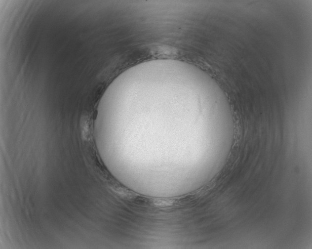 X0000075350709200609080813