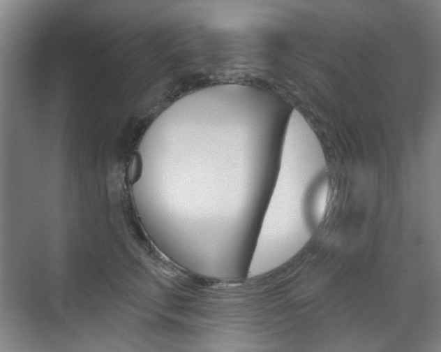 X0000075350711200609080813
