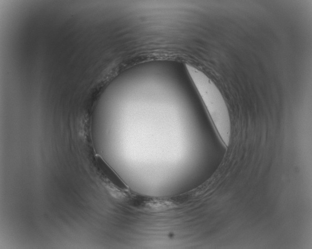 X0000075350712200609080813