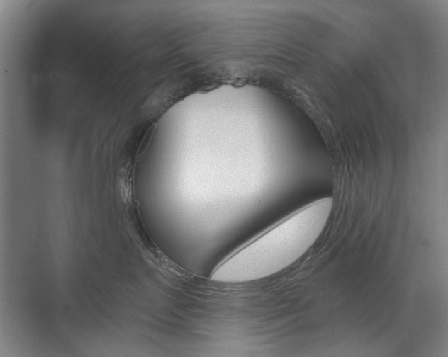 X0000075350719200609080812