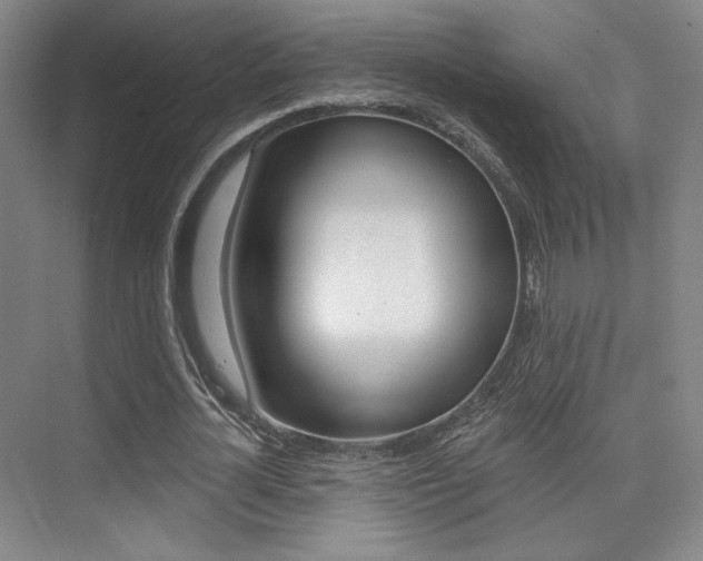 X0000075350724200609080812