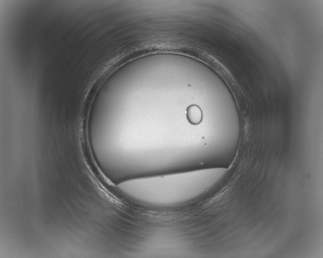 X0000075350725200609080812