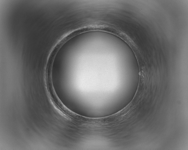 X0000075350726200609080812