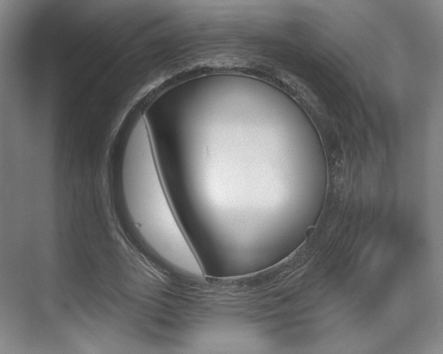 X0000075350727200609080812