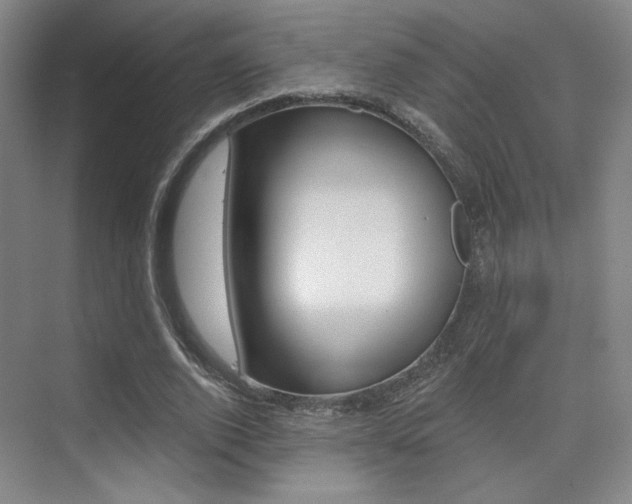 X0000075350728200609080812