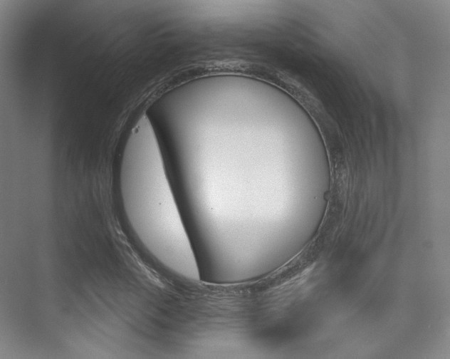 X0000075350729200609080812