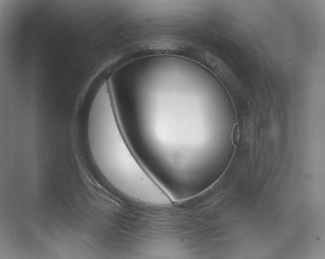 X0000075350731200609080812