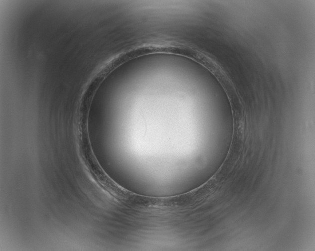 X0000075350732200609080812