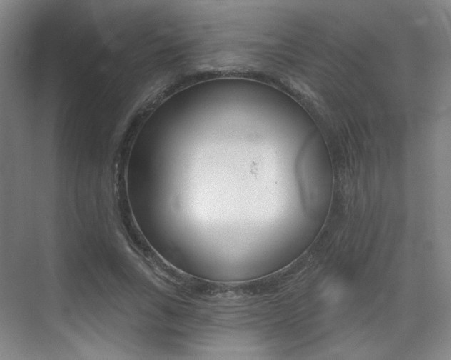 X0000075350735200609080812