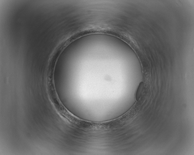 X0000075350736200609080812