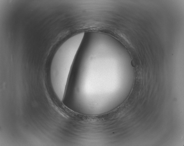 X0000075350738200609080812