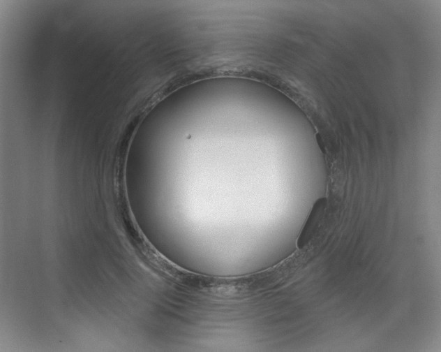 X0000075350740200609080812
