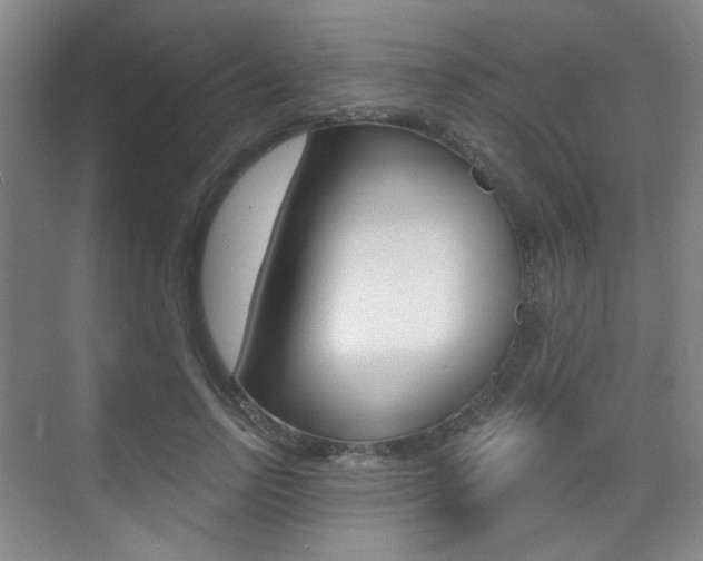 X0000075350742200609080812