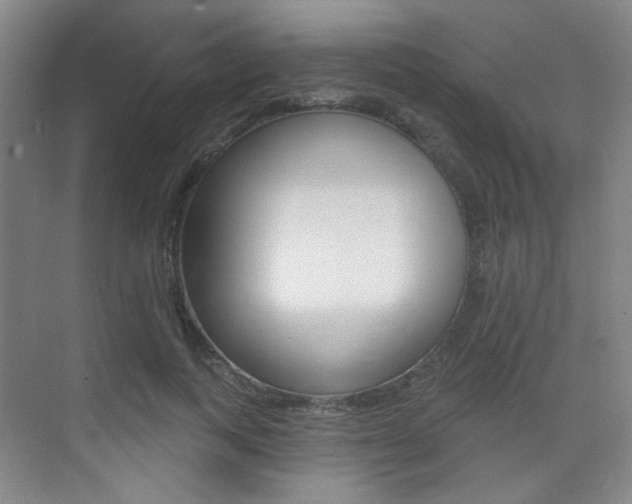 X0000075350743200609080812