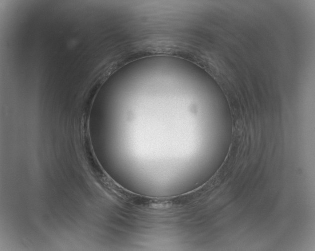 X0000075350744200609080812