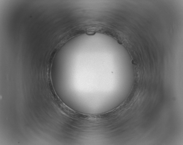 X0000075350745200609080812