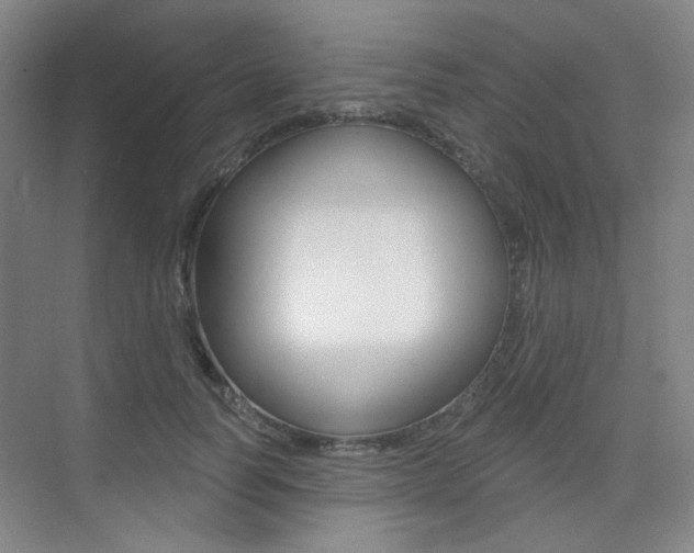 X0000075350746200609080812