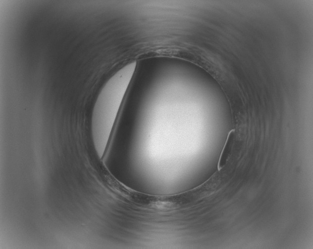 X0000075350748200609080812