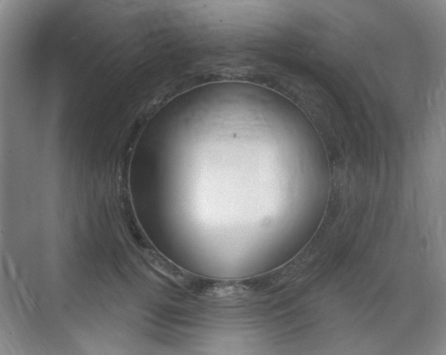 X0000075350752200609080812