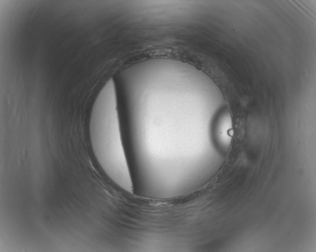 X0000075350753200609080812