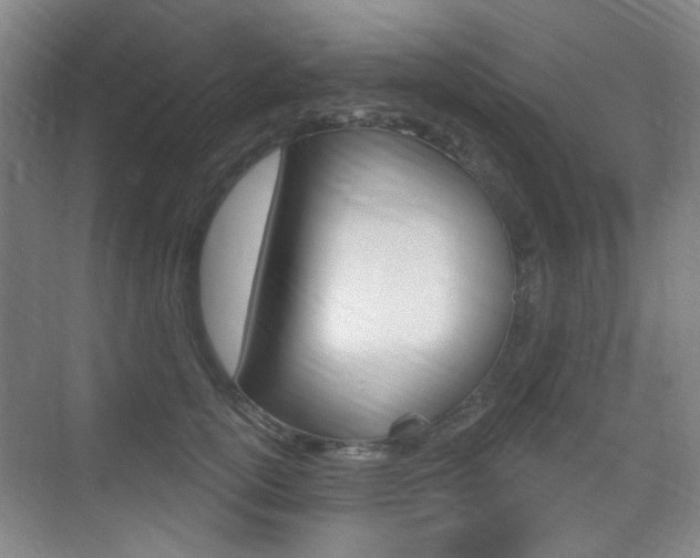X0000075350754200609080812