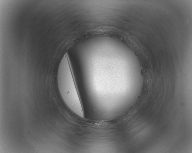 X0000075350758200609080812
