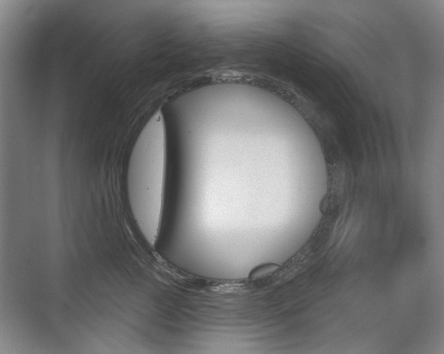 X0000075350761200609080812
