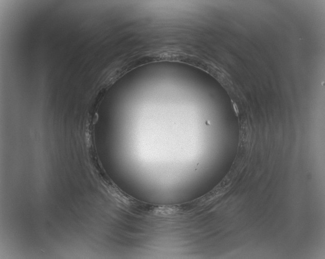 X0000075350762200609080812
