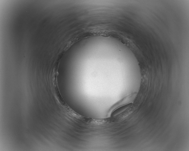 X0000075350767200609080812