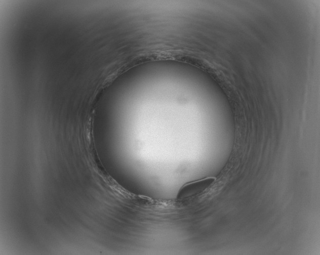 X0000075350768200609080812