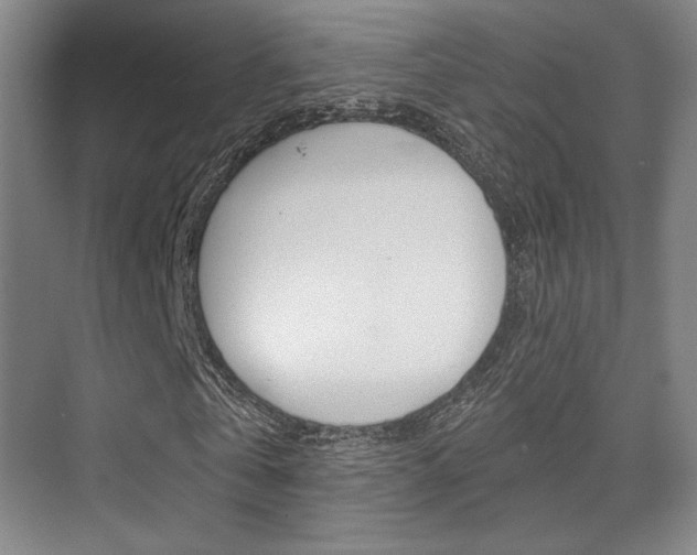 X0000075350769200609080812