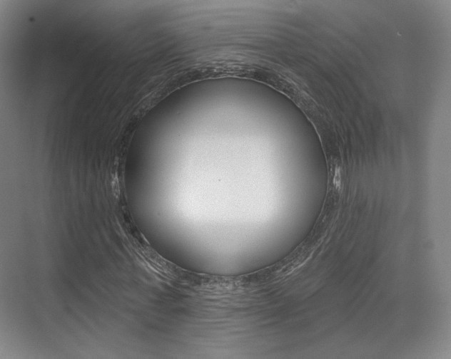 X0000075350771200609080812