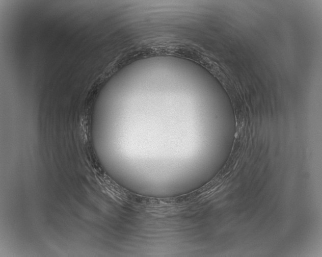 X0000075350772200609080812