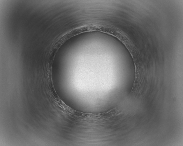 X0000075350773200609080812