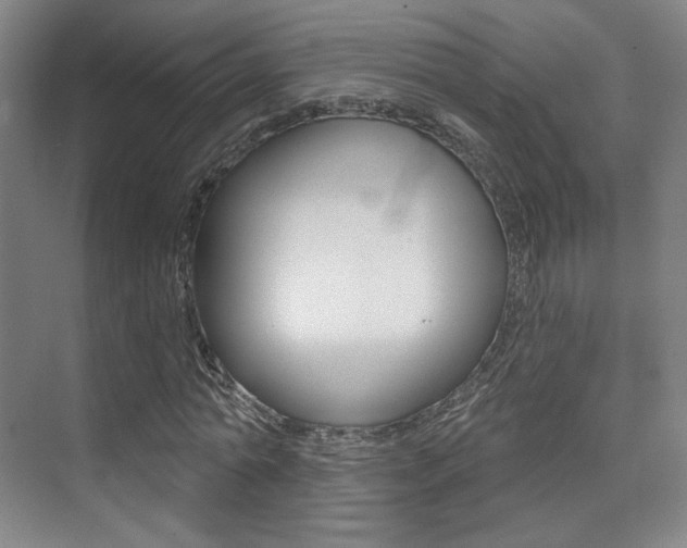 X0000075350774200609080812