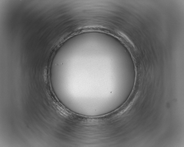 X0000075350777200609080812