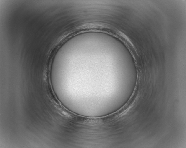 X0000075350778200609080811