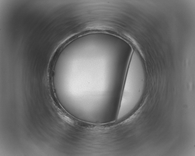 X0000075350779200609080811
