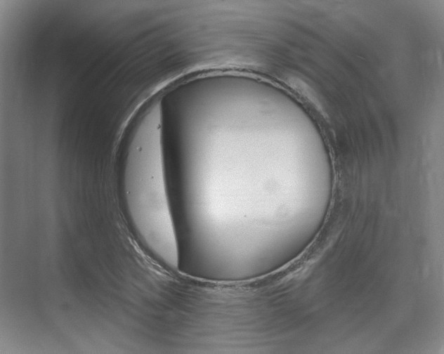 X0000075350781200609080811