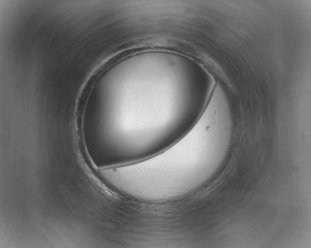 X0000075350784200609080811