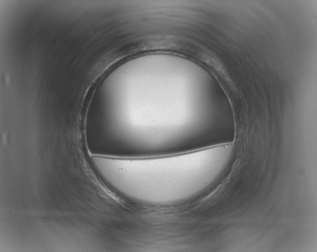 X0000075350786200609080811
