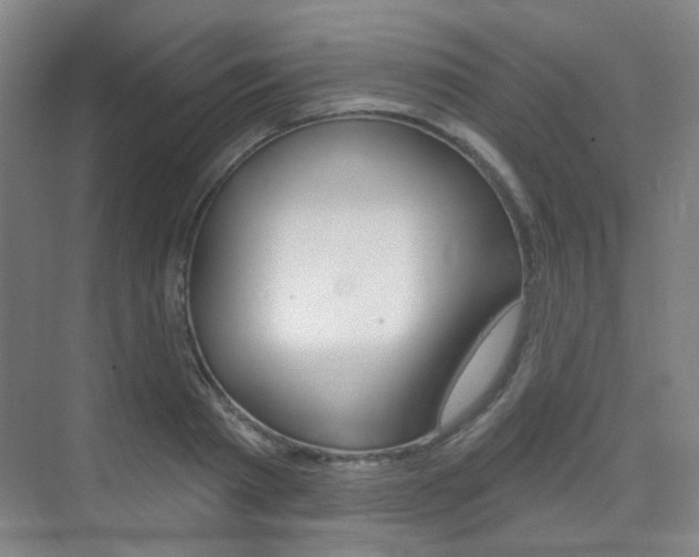 X0000075350793200609080811