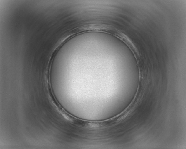 X0000075350794200609080811