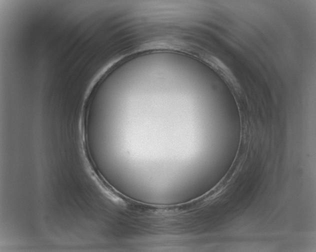 X0000075350796200609080811