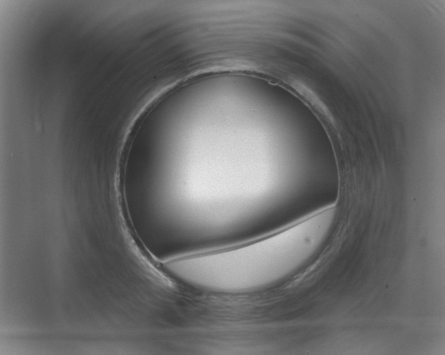 X0000075350797200609080811