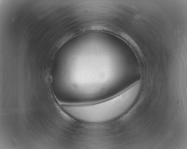 X0000075350801200609080811